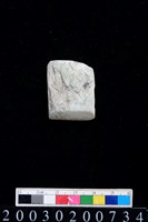 藏品(石錛)的圖片