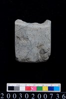 藏品(石錛)的圖片