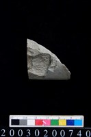 藏品(石錛)的圖片