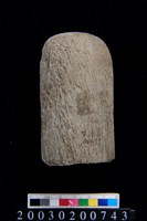 藏品(石杵)的圖片