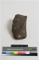 藏品(石斧)的圖片