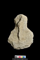 藏品(石斧)的圖片