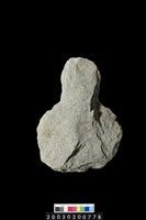 藏品(石斧)的圖片