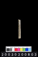 藏品(石錐)的圖片