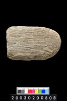 藏品(石錘)的圖片