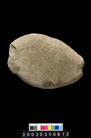 藏品(石錘)的圖片