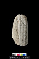 藏品(石杵)的圖片