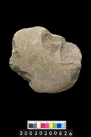 藏品(砍伐器)的圖片