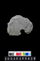 藏品(帶穿孔板岩)的圖片