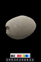 藏品(石片)的圖片