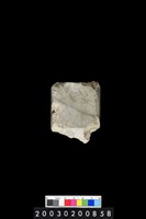 藏品(石錛)的圖片