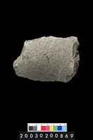 藏品(砍伐器)的圖片