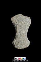 藏品(石斧)的圖片