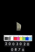 藏品(石錛)的圖片