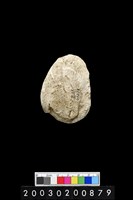 藏品(螺蓋)的圖片