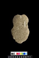 藏品(石斧)的圖片