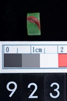 藏品(琉璃珠)的圖片