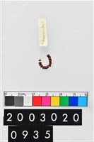 藏品(琉璃珠串)的圖片