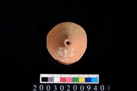 藏品(陶紡輪)的圖片