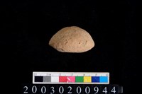 藏品(陶紡輪)的圖片