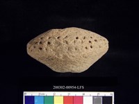 藏品(陶紡輪)的圖片