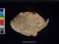 藏品(雙豎把圈足罐)的圖片