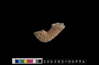 藏品(陶把)的圖片