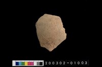 藏品(腹片)的圖片