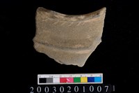 藏品(口緣)的圖片