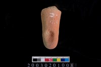 藏品(勺把)的圖片