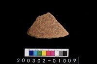 藏品(腹片)的圖片