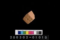 藏品(腹片)的圖片