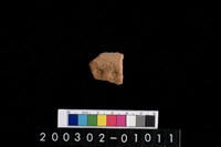 藏品(腹片)的圖片