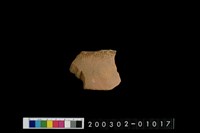 藏品(口緣)的圖片