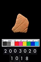 藏品(腹片)的圖片