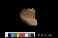 藏品(口緣)的圖片