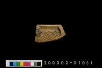 藏品(缽口緣)的圖片