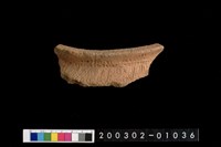 藏品(口緣)的圖片