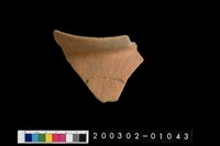 藏品(口緣)的圖片