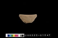 藏品(口緣)的圖片