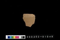 藏品(腹片)的圖片