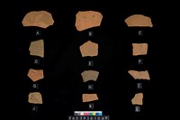 藏品(腹片)的圖片