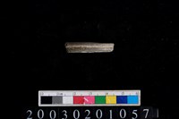 藏品(陶環)的圖片