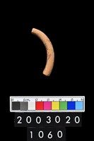 藏品(陶環)的圖片