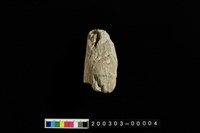 藏品(石杵)的圖片