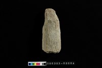 藏品(石杵)的圖片