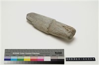 藏品(石杵)的圖片