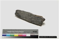 藏品(石杵)的圖片