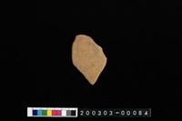 藏品(腹片)的圖片