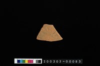 藏品(腹片)的圖片